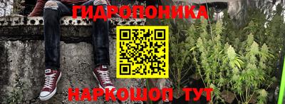 ешки Гудермес