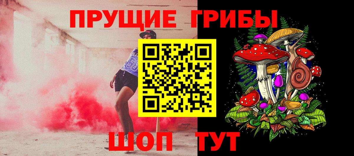 Псилоцибиновые грибы Psilocybe  Вход с VPN  Дубна 